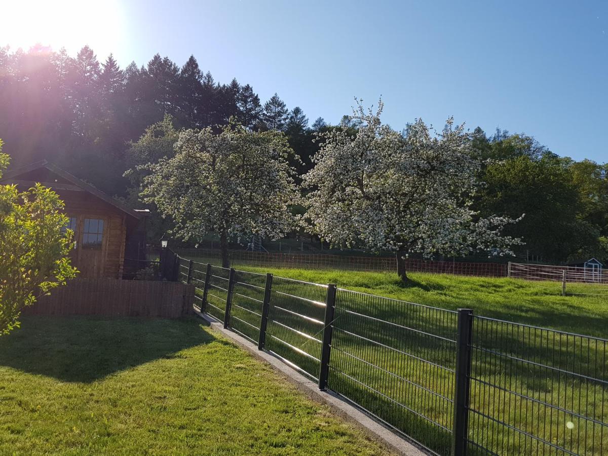 Ferienwohnung Tinas Beauty ネッカーシュタイナハ エクステリア 写真