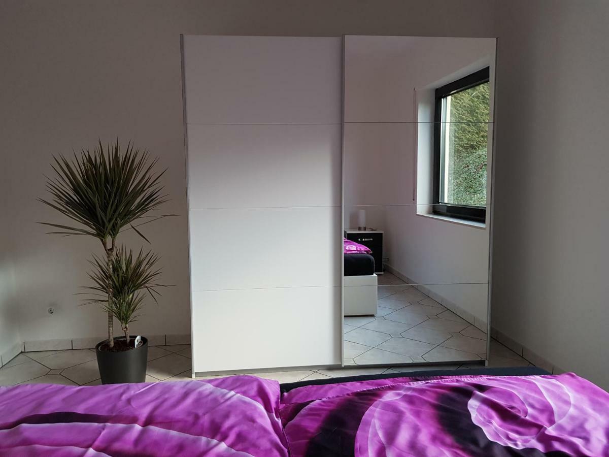 Ferienwohnung Tinas Beauty ネッカーシュタイナハ エクステリア 写真