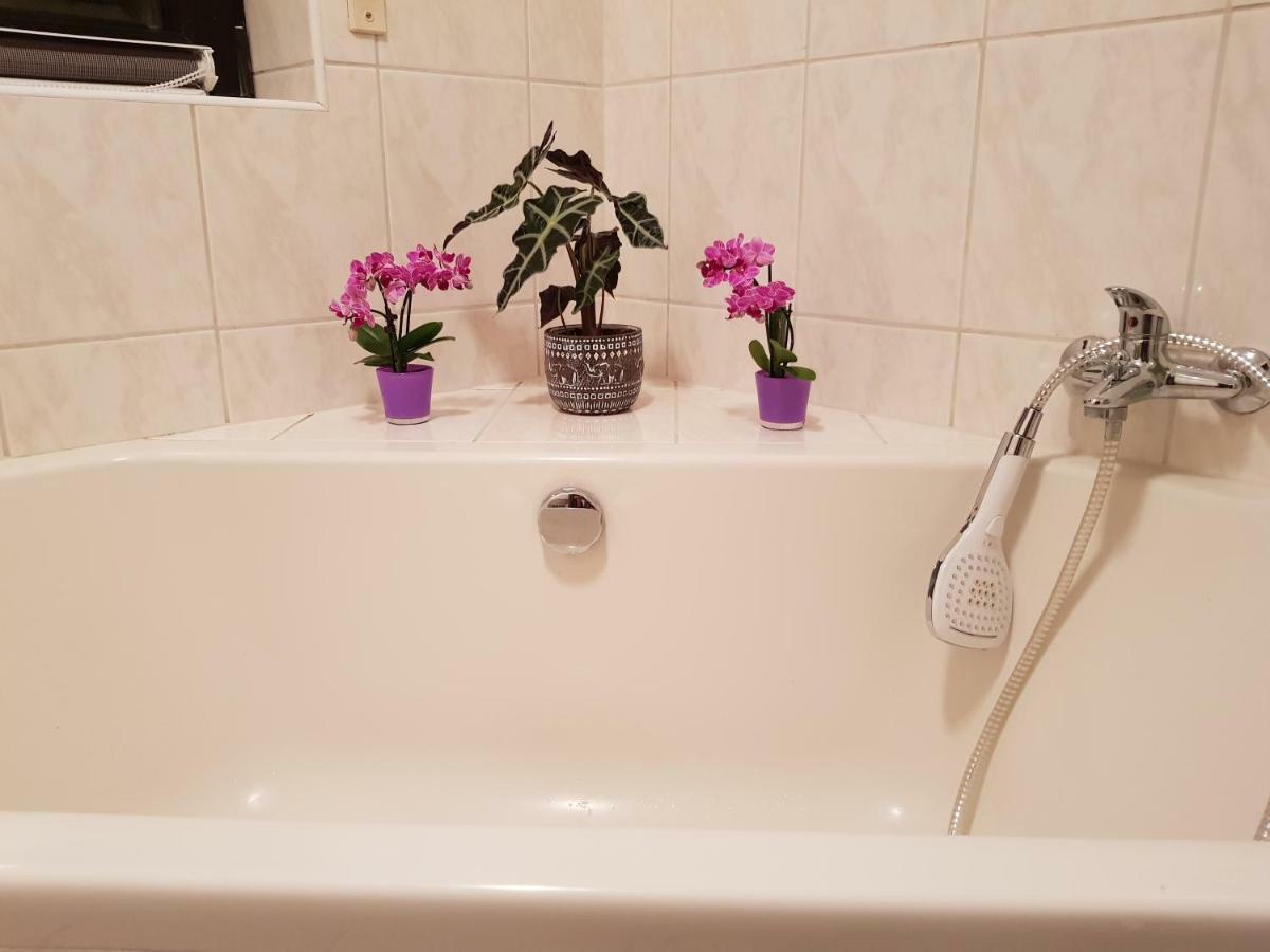 Ferienwohnung Tinas Beauty ネッカーシュタイナハ エクステリア 写真
